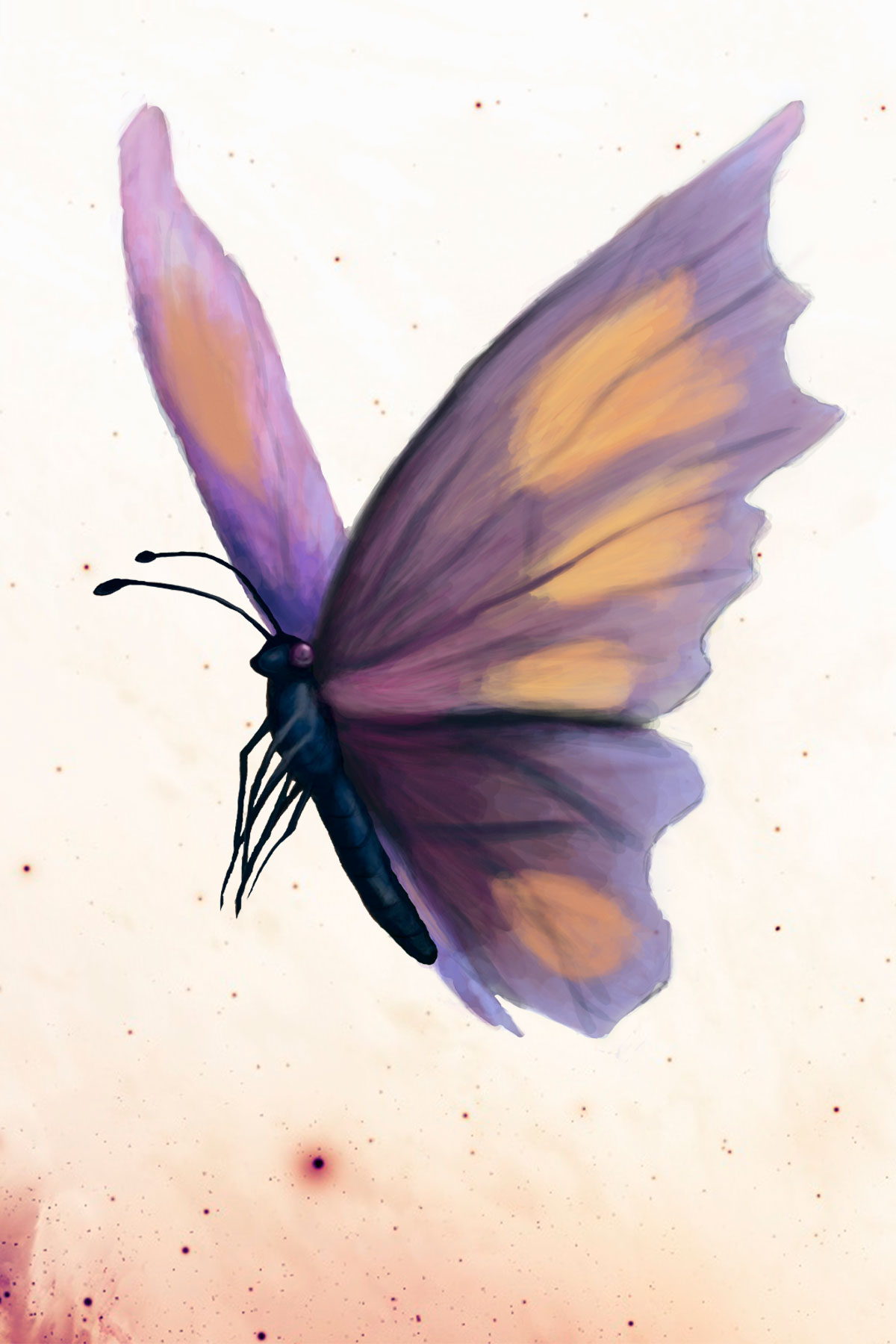 butterfly.JPG
